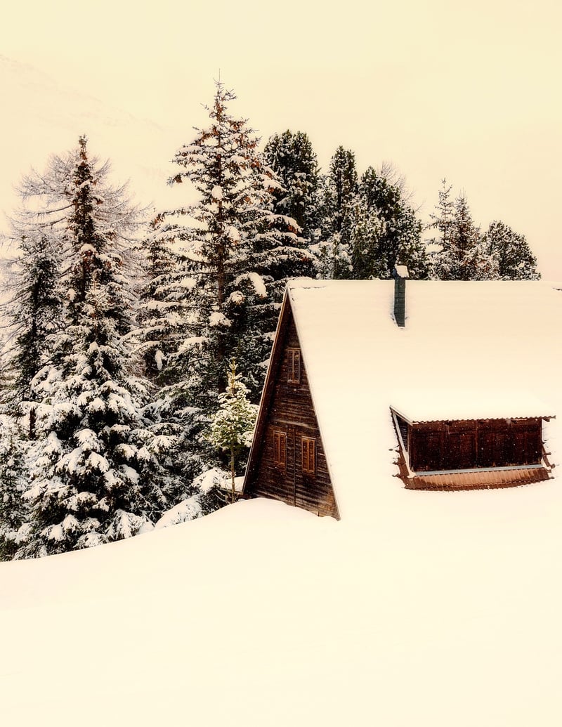 Secluded Cabins
